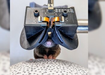 Scientists Develop Miniature VR Headset for Enhanced Mouse Research